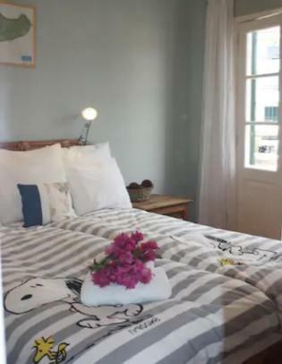 Old Town Penthouse - Barreirinha Appartement Funchal  Buitenkant foto